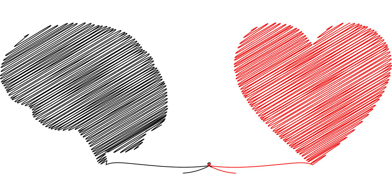 blog-sentir-lo-que-quieres.png