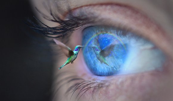 eye-4451058__340.jpg